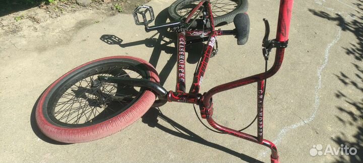 Bmx grasshopper