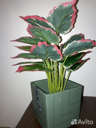 Искусственные зеленые горшечные растения