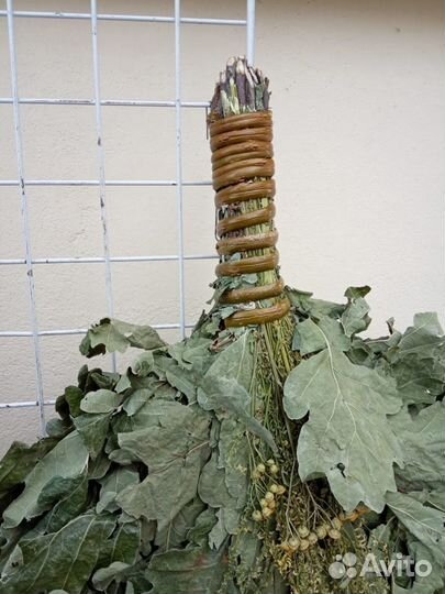 Веники для бани