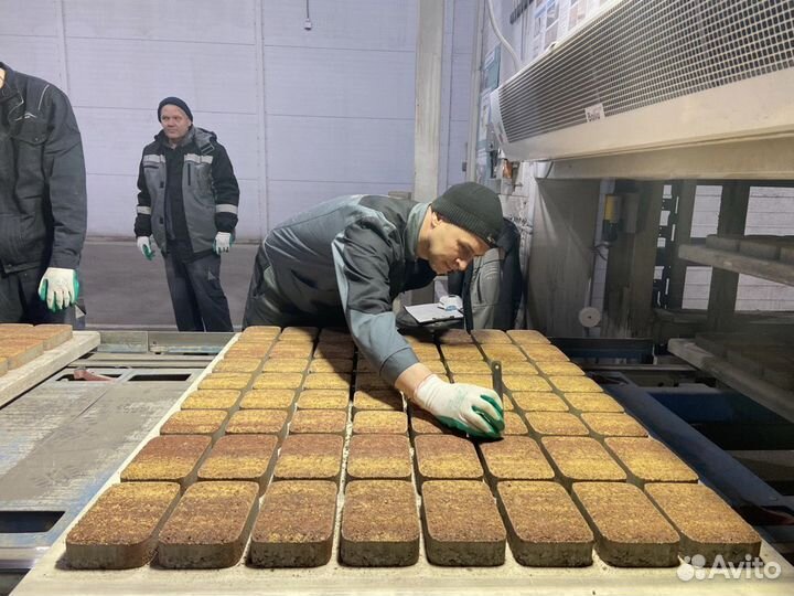 Брусчатка старая