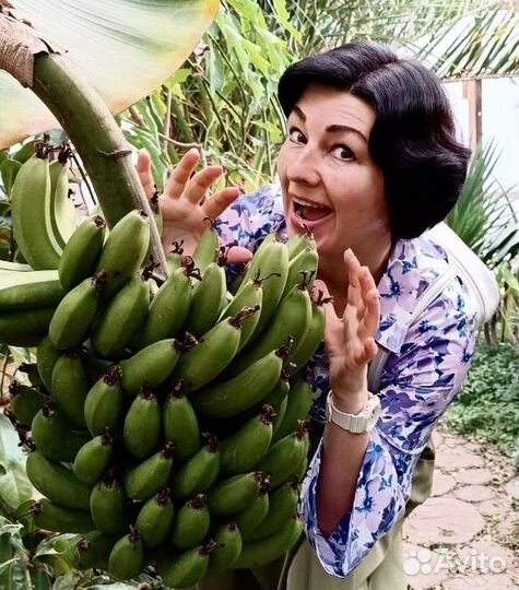 Переворачиватель дельфинов