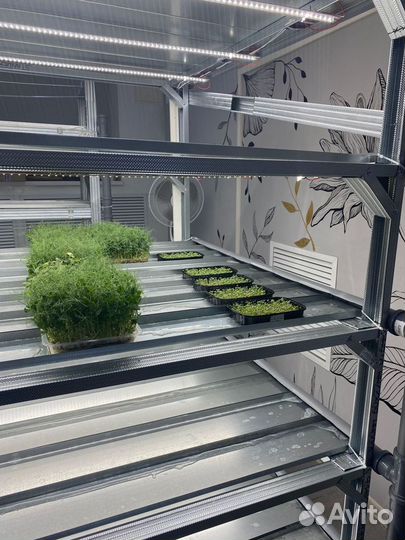 Полки стеллажа для микрозелени