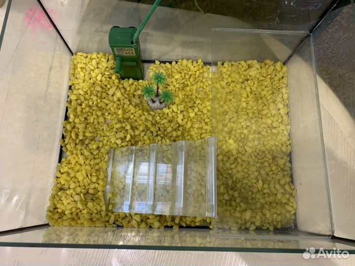 Аквариум для черепах