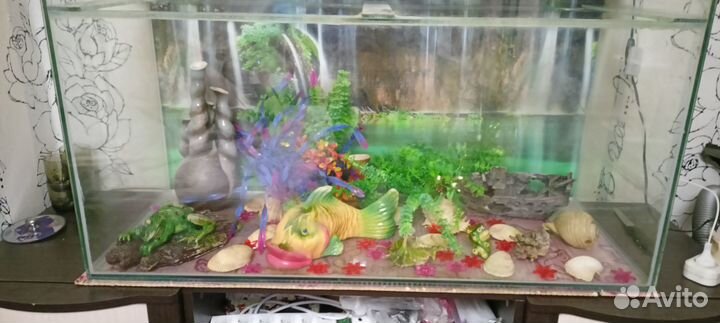 Аквариум
