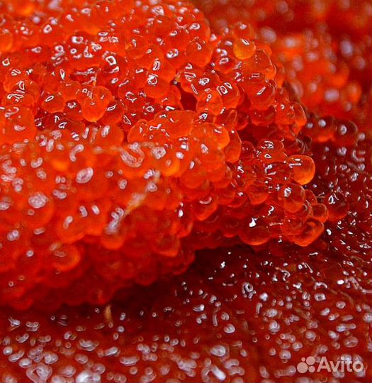 Оптом свежий улов икры нерки