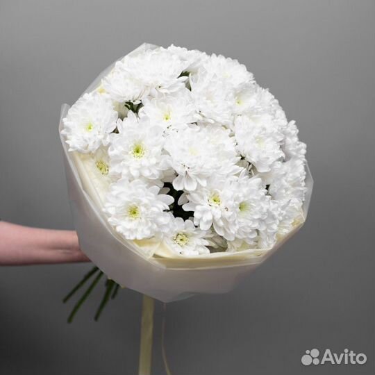 Кустовая Хризантема цветы букет