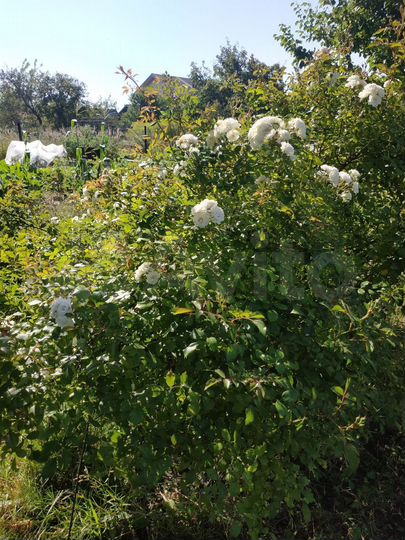 Дача 33,5 м² на участке 6 сот.