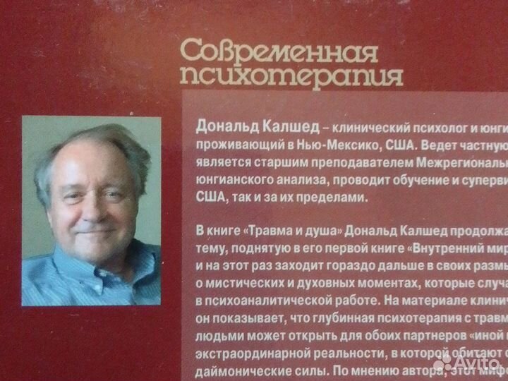 Дональд Калшед, Травма и душа