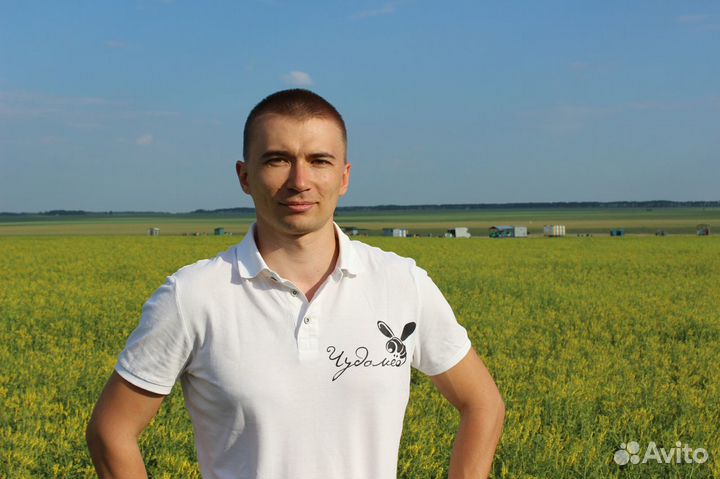 Мёд оптом, своя пасека, от 1 кг - Рязань