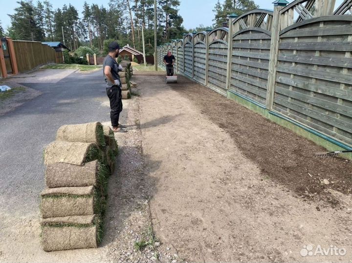 Качественный газон под ключ