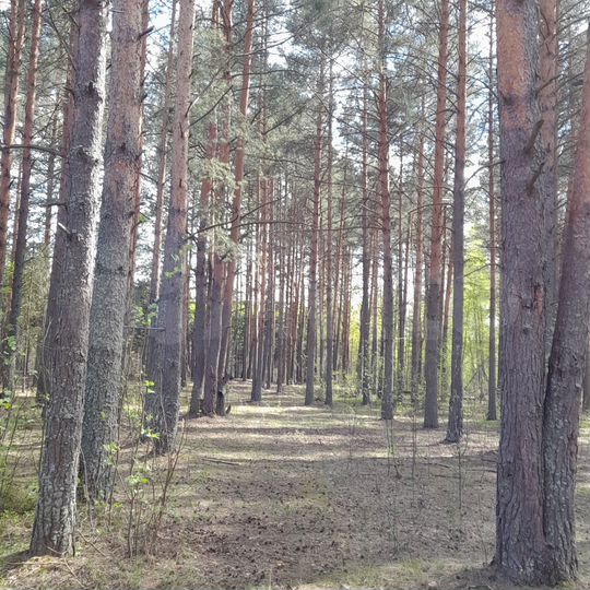 Участок 24 сот. (СНТ, ДНП)