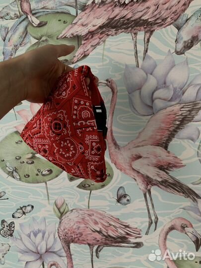 Амуниция для собак