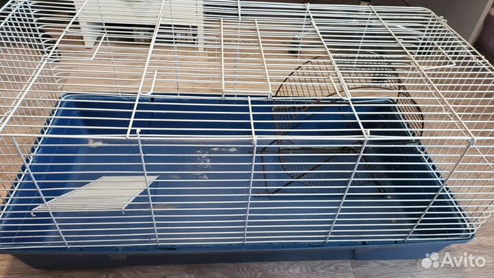 Клетка для грызунов бу