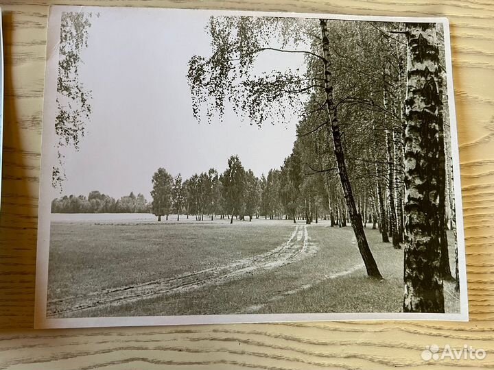 Чёрно-белые фотографии с пейзажем