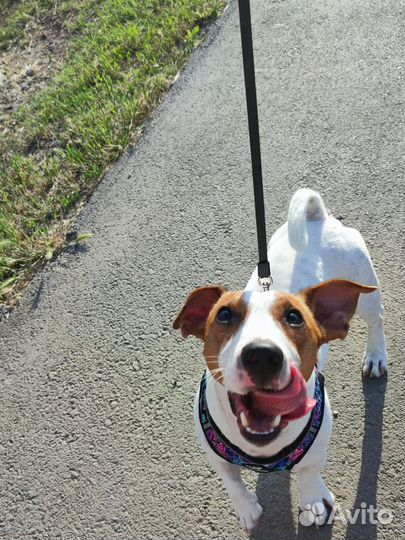 Кабель для вязки