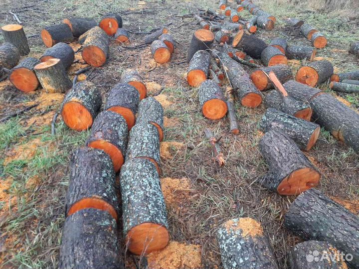 Продам дрова Ольха