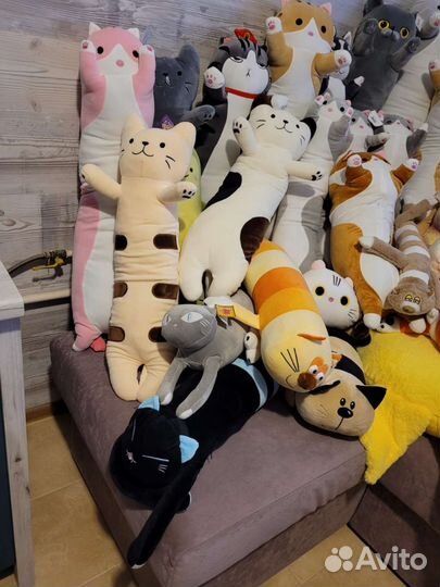 Кот Батон, кот Багет, хаски, авокадо, корги, гусь