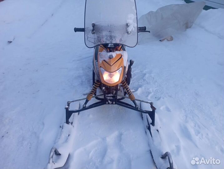 Dingo T125