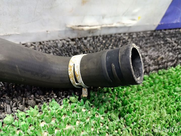 Патрубок радиатора нижний Nissan Pathfinder