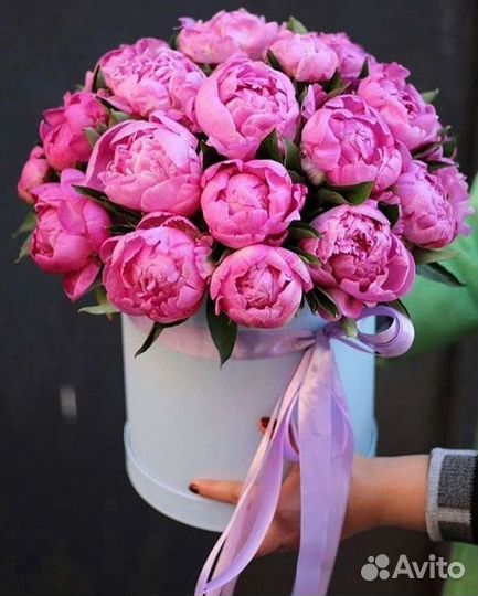 Пионы Букеты Цветы Доставка