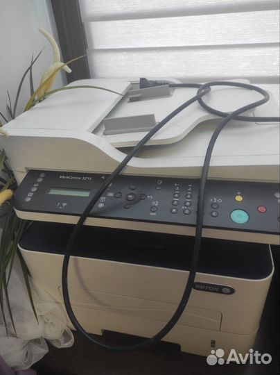 Принтер лазерный xerox 3215