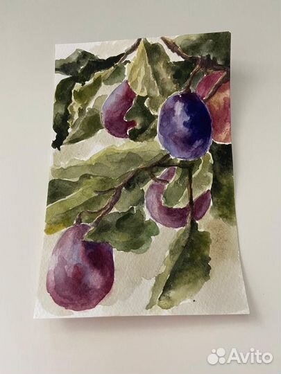 Акварельные картины. Ботанические иллюстрации