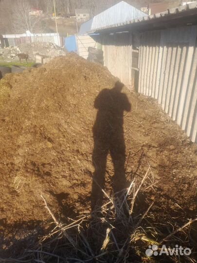 Навоз коровяк