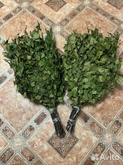 Березовые веники 2024