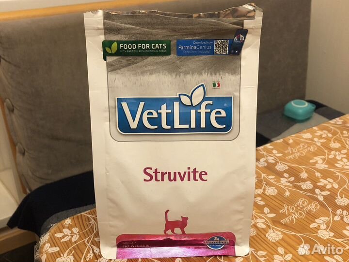 Кошачий сухой корм