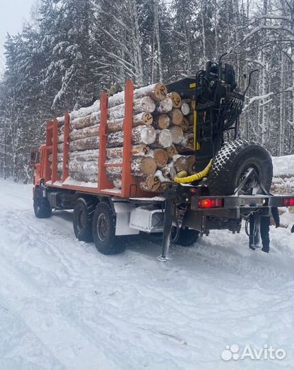 Лес кругляк