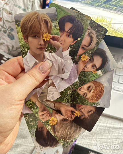 Сет карт straykids