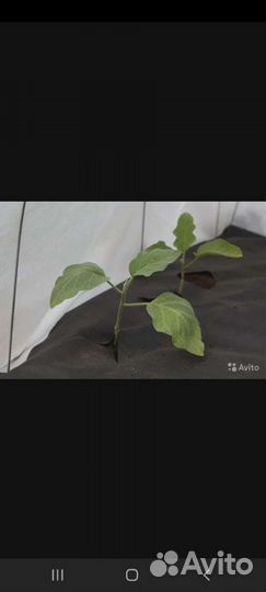 Укрывное агроволокно