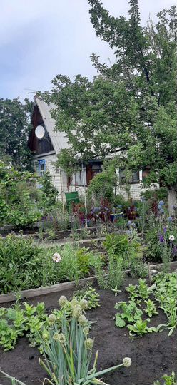 Дача 35 м² на участке 12 сот.