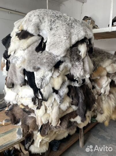 Шкуры овечные штучные