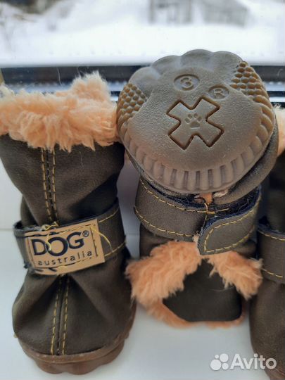 Ботинки для маленьких собак