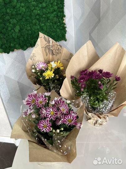 Букет из хризантем