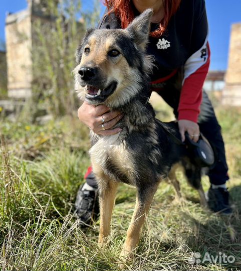 Бонечка девочка