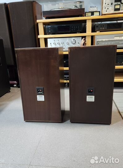 Акустические системы Radiothehnika S50B