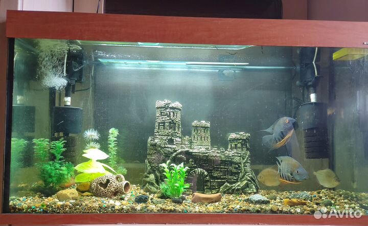 Продам аквариум
