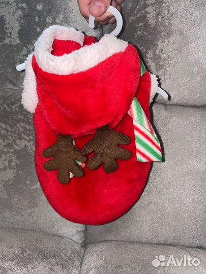 Одежда для маленьких собак xs