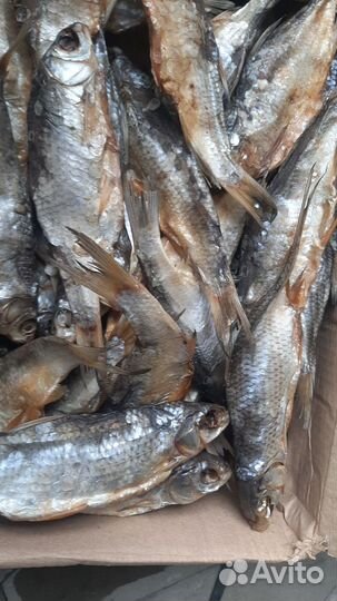 Вобла вяленая с икрой