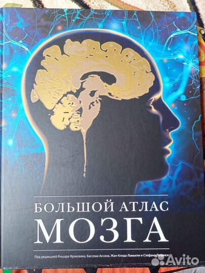 Большой атлас мозга
