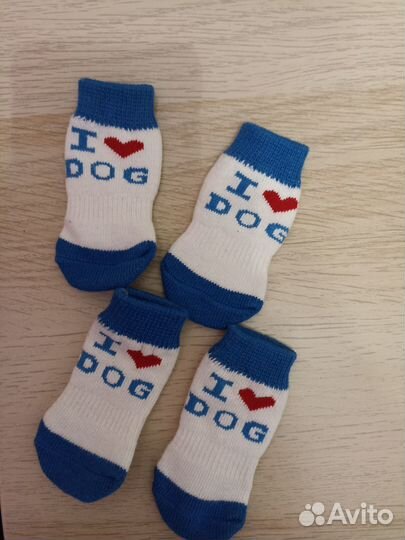 Одежда для собак