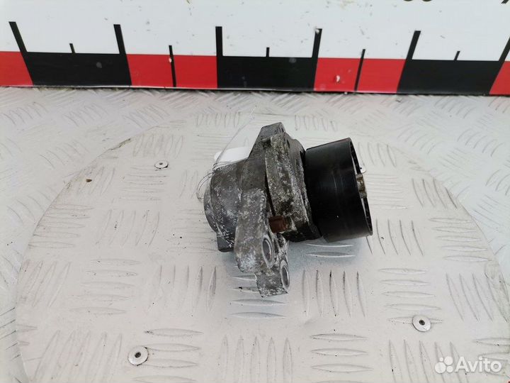 Натяжитель для Peugeot-Citroen Xsara