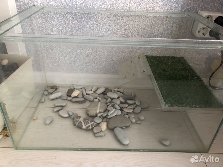Террариум для красноухой черепахи