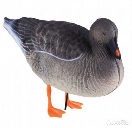 Чучела комплект гуменник 10шт G622-3D