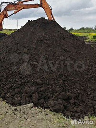 Торф низинный