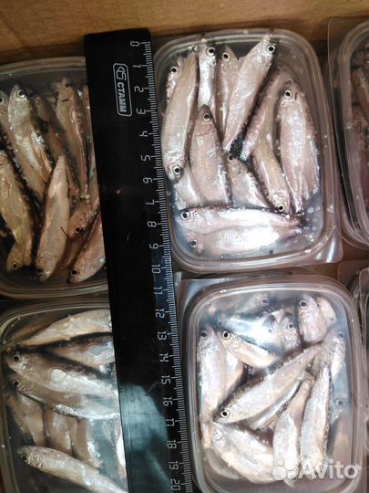 Тюлька опт и розница