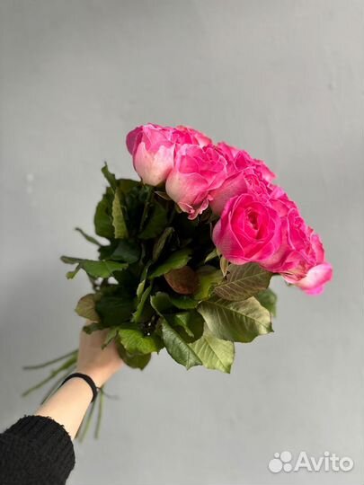 Букет 17 роз