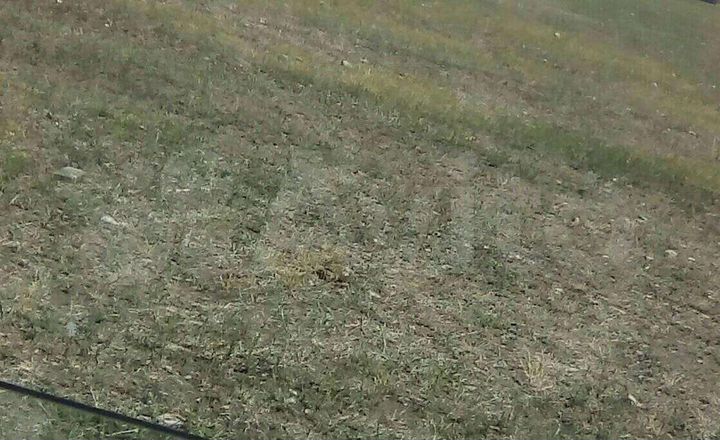 Участок 9 га (СНТ, ДНП)